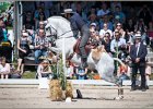 Pferd International 101
